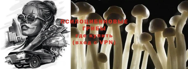 молекула духа Новодвинск