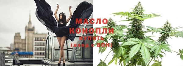 молекула духа Новодвинск