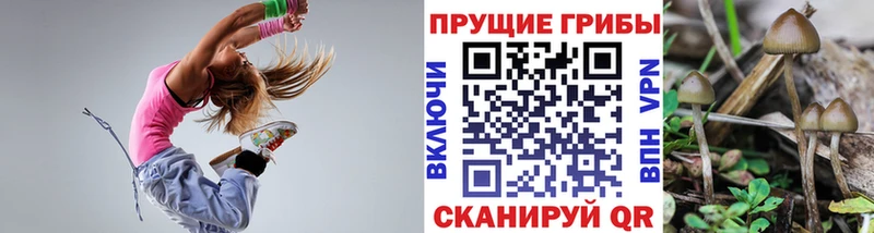 даркнет сайт Мамоново Псилоцибиновые грибы мухоморы